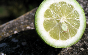 Картинка еда цитрусы лайм