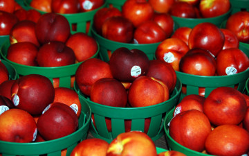 Картинка еда персики +сливы +абрикосы нектарины