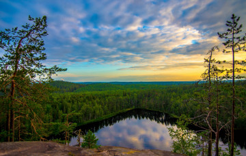 Картинка природа реки озера река лес