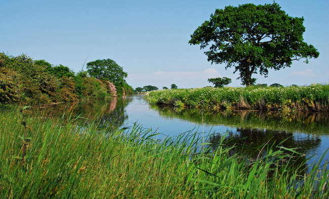 Обои картинки фото природа, реки, озера, лес, река