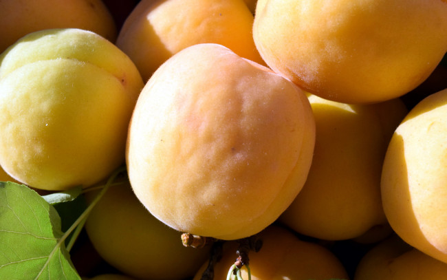 Обои картинки фото еда, персики,  сливы,  абрикосы