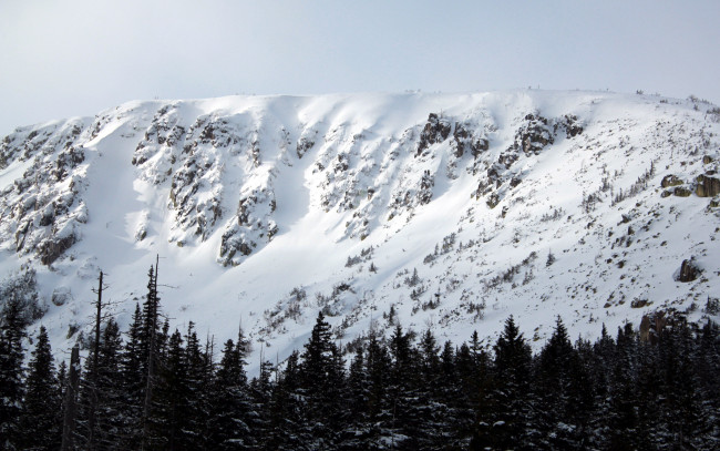 Обои картинки фото природа, горы, вершины, снежные, деревья, лес