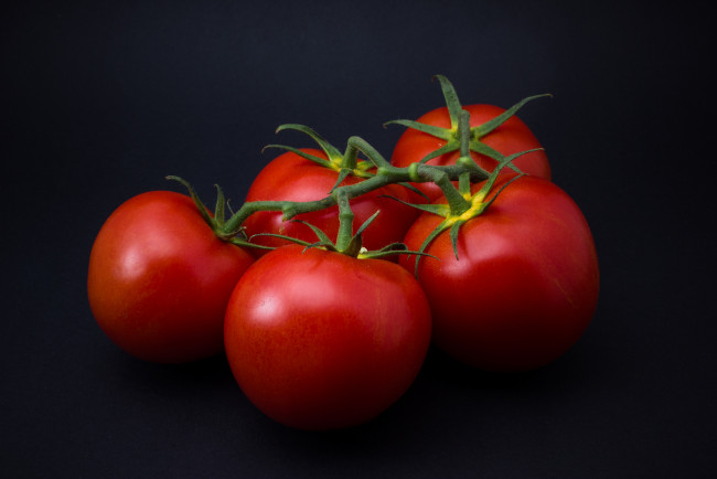 Обои картинки фото еда, помидоры, томаты