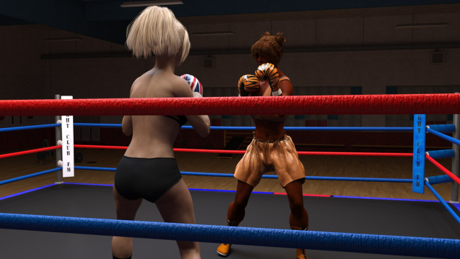 Обои картинки фото 3д графика, спорт , sport, взгляд, фон, ринг, бокс, девушки