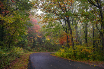 Картинка природа дороги простор