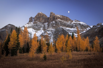 Картинка природа горы простор