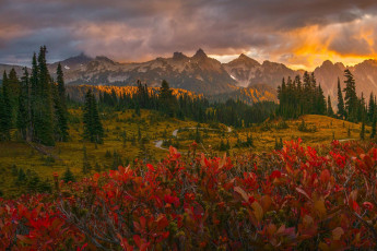 Картинка природа пейзажи простор