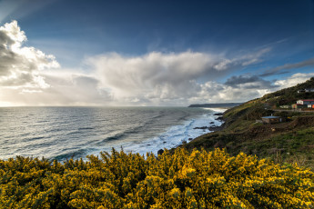 Картинка природа побережье простор