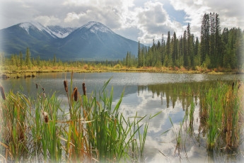 Картинка природа реки озера простор