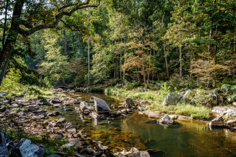 Картинка природа реки озера простор