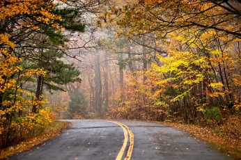 Картинка природа дороги простор