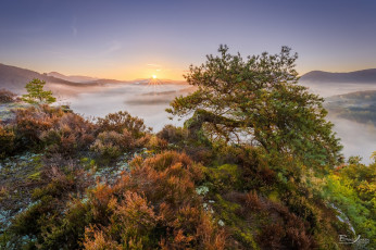 Картинка природа пейзажи простор