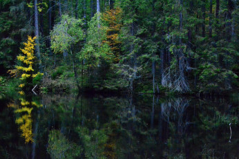 Картинка природа реки озера простор