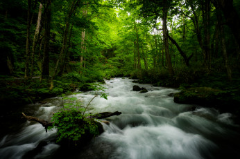 Картинка природа реки озера простор