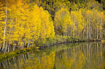 Картинка природа реки озера простор