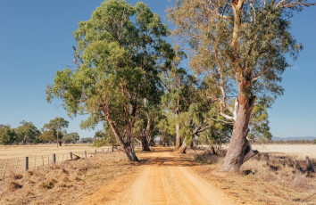 Картинка природа дороги простор