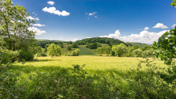 Картинка природа пейзажи простор