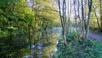 Картинка природа реки озера простор