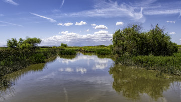 Картинка природа реки озера простор