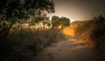 Картинка природа пейзажи простор