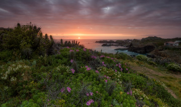 Картинка природа восходы закаты простор