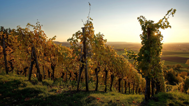 Обои картинки фото природа, пейзажи, простор