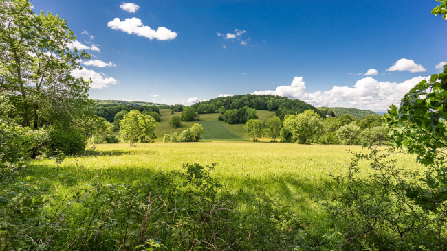 Обои картинки фото природа, пейзажи, простор