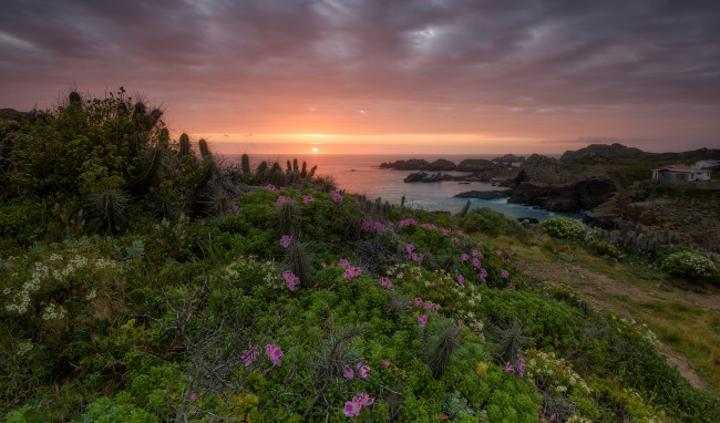 Обои картинки фото природа, восходы, закаты, простор