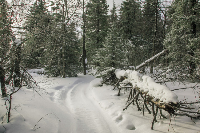 Обои картинки фото природа, зима, простор