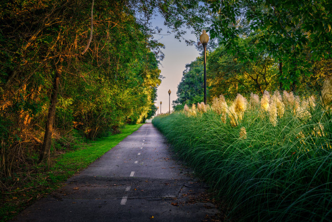 Обои картинки фото природа, дороги, простор