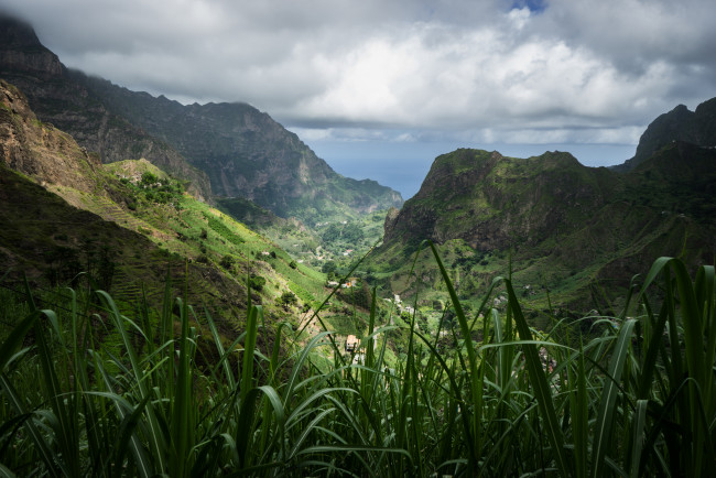 Обои картинки фото природа, луга, простор