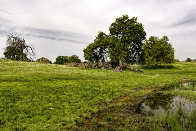 Обои картинки фото природа, пейзажи, простор