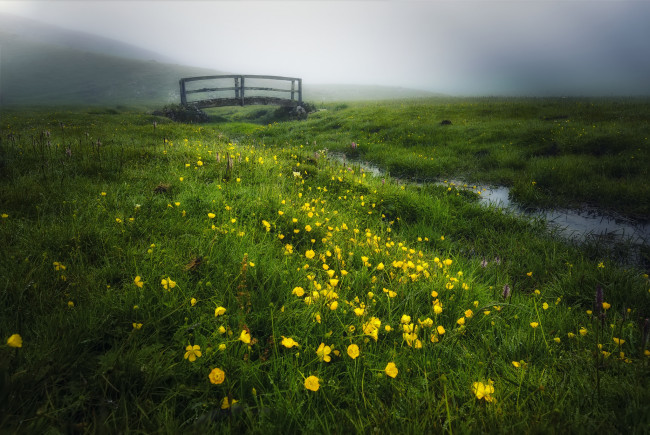 Обои картинки фото природа, луга, простор