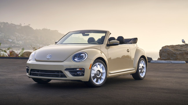 Обои картинки фото 2019 volkswagen beetle sel final edition, автомобили, volkswagen, кабриолет, фольцваген, convertible, beetle, 2019, sel, final, edition