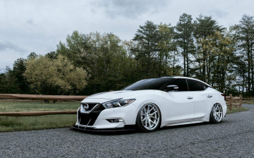 Картинка автомобили nissan datsun