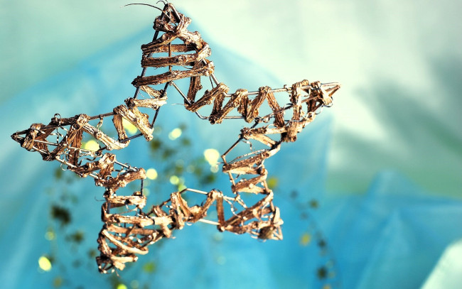 Обои картинки фото праздничные, украшения, звезда, украшение