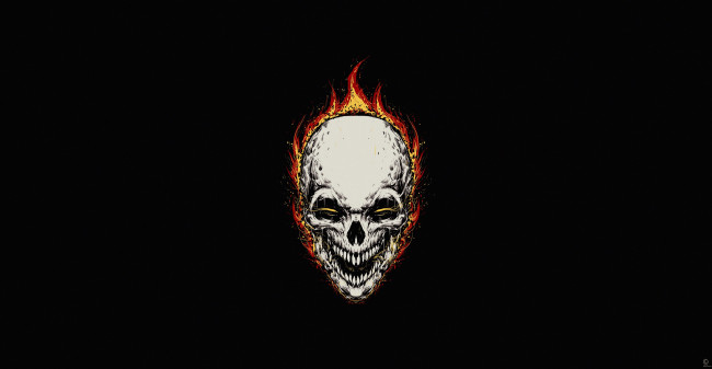 Обои картинки фото фэнтези, нежить, череп