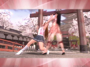 Картинка видео игры dead or alive