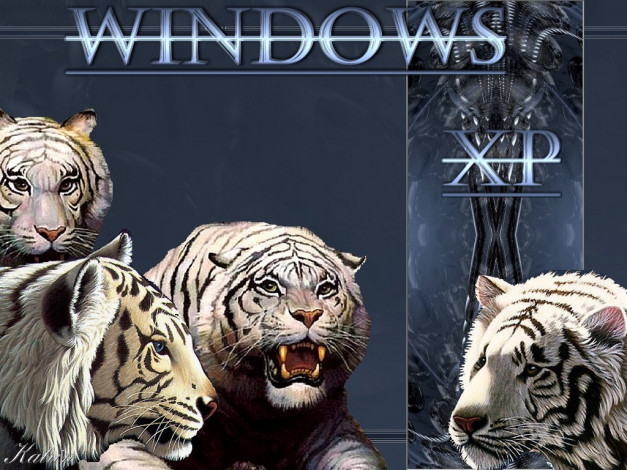 Обои картинки фото tiger, xp, компьютеры, windows