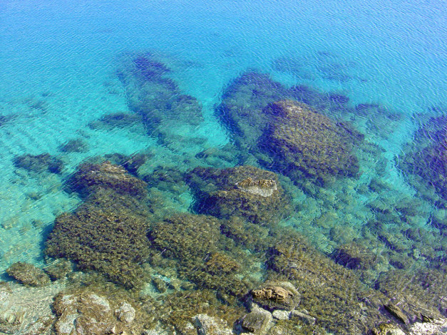 Обои картинки фото 