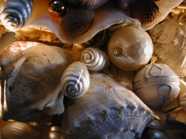 Обои картинки фото разное