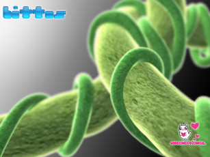 Картинка bittos+ видео игры