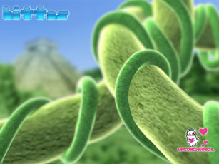 обоя bittos , видео, игры