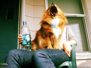 Картинка юмор приколы