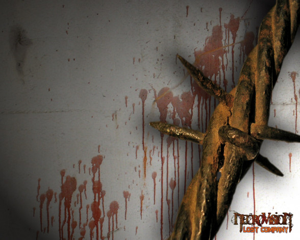 Обои картинки фото necrovision, lost, company, видео, игры