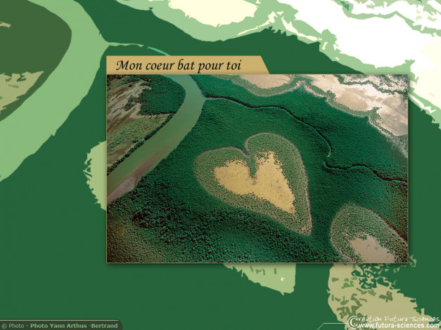 Обои картинки фото праздничные, день, св, валентина, сердечки, любовь