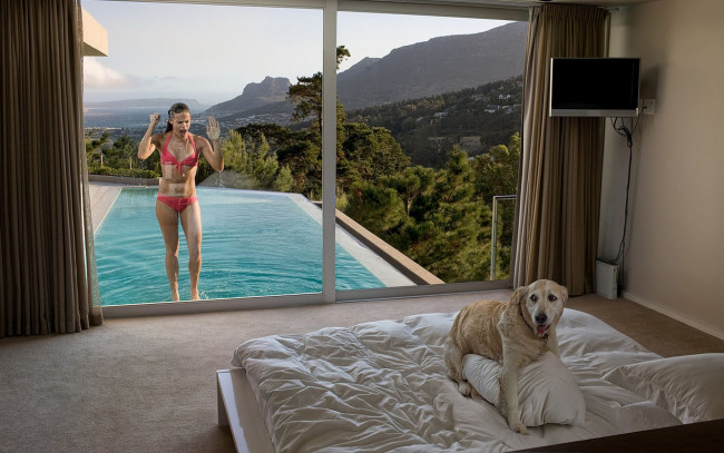 Обои картинки фото юмор, приколы