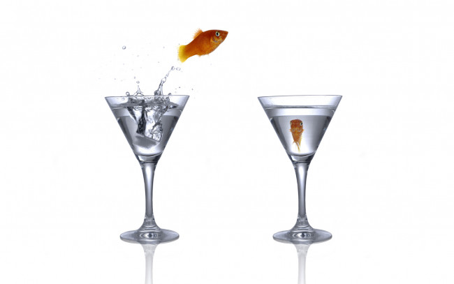 Обои картинки фото животные, рыбы