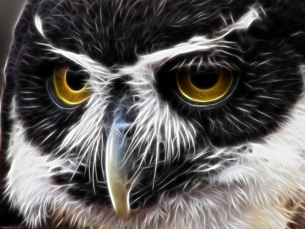 Обои картинки фото 3д, графика, animals, животные, глаза