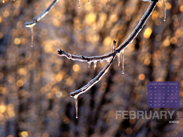 Обои картинки фото календари, природа, лед, ветка